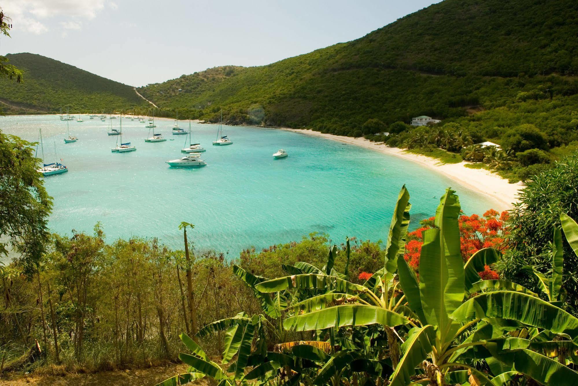 White Bay Villas And Beach Club Jost Van Dyke Exteriör bild